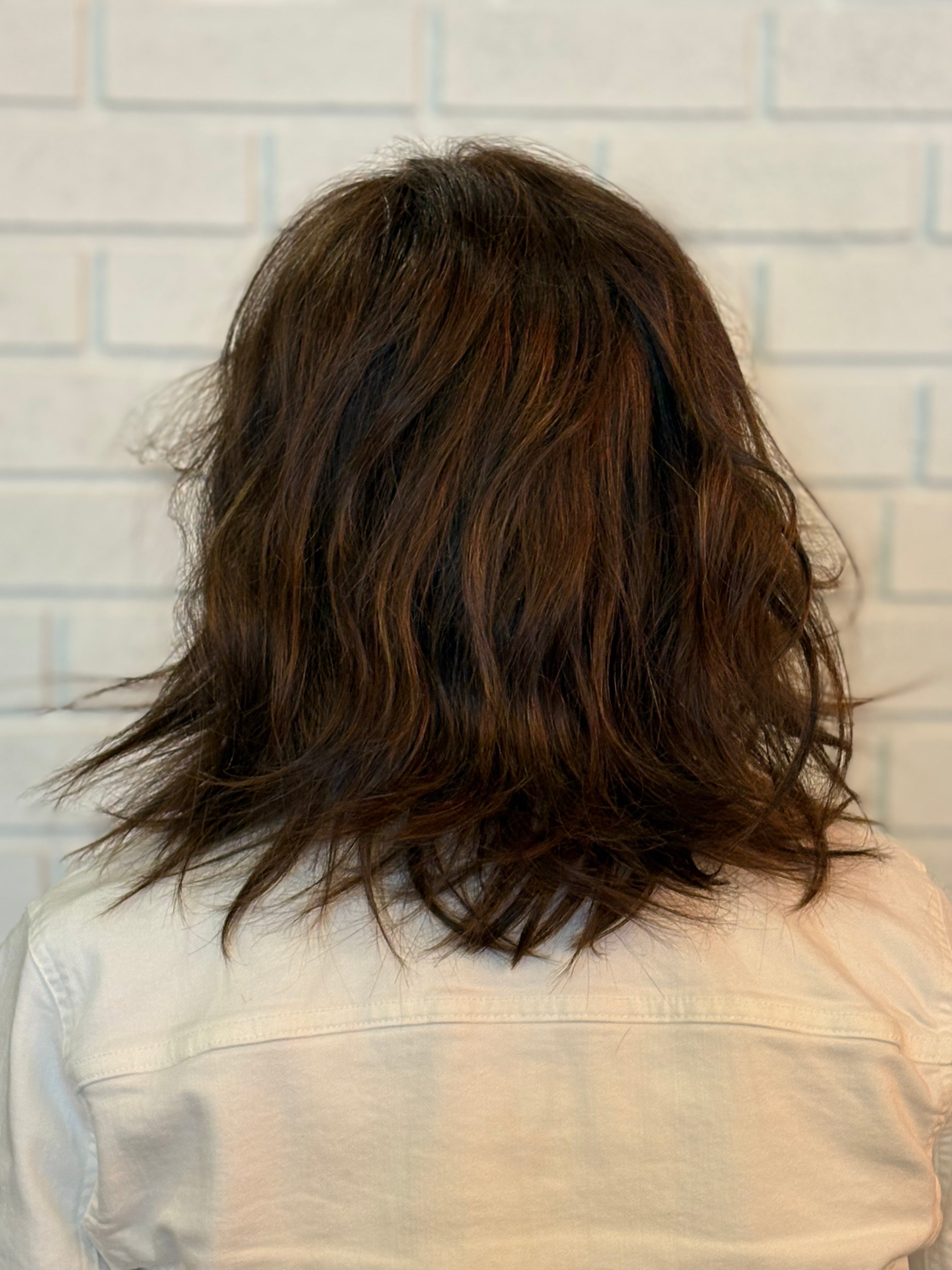JON RENAU HUMAN HAIR WIG.